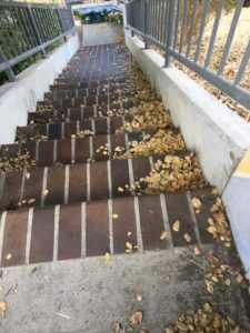 Oneonta-Olancha Stairs