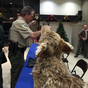 Stuffed coyote at ASNC wildlife presentation